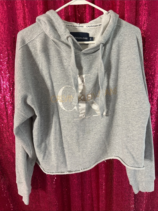 Calvin Klein Sweaters - Calvin Klein Light Gray Logo Hoodie Sweatshirt